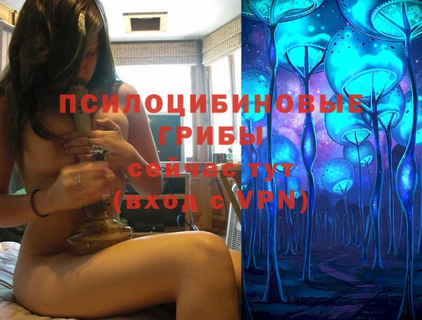 СК Балахна