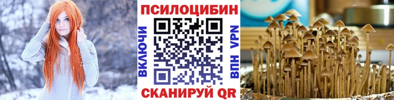даркнет сайт  hydra ССЫЛКА  Галлюциногенные грибы Magic Shrooms  Теберда 